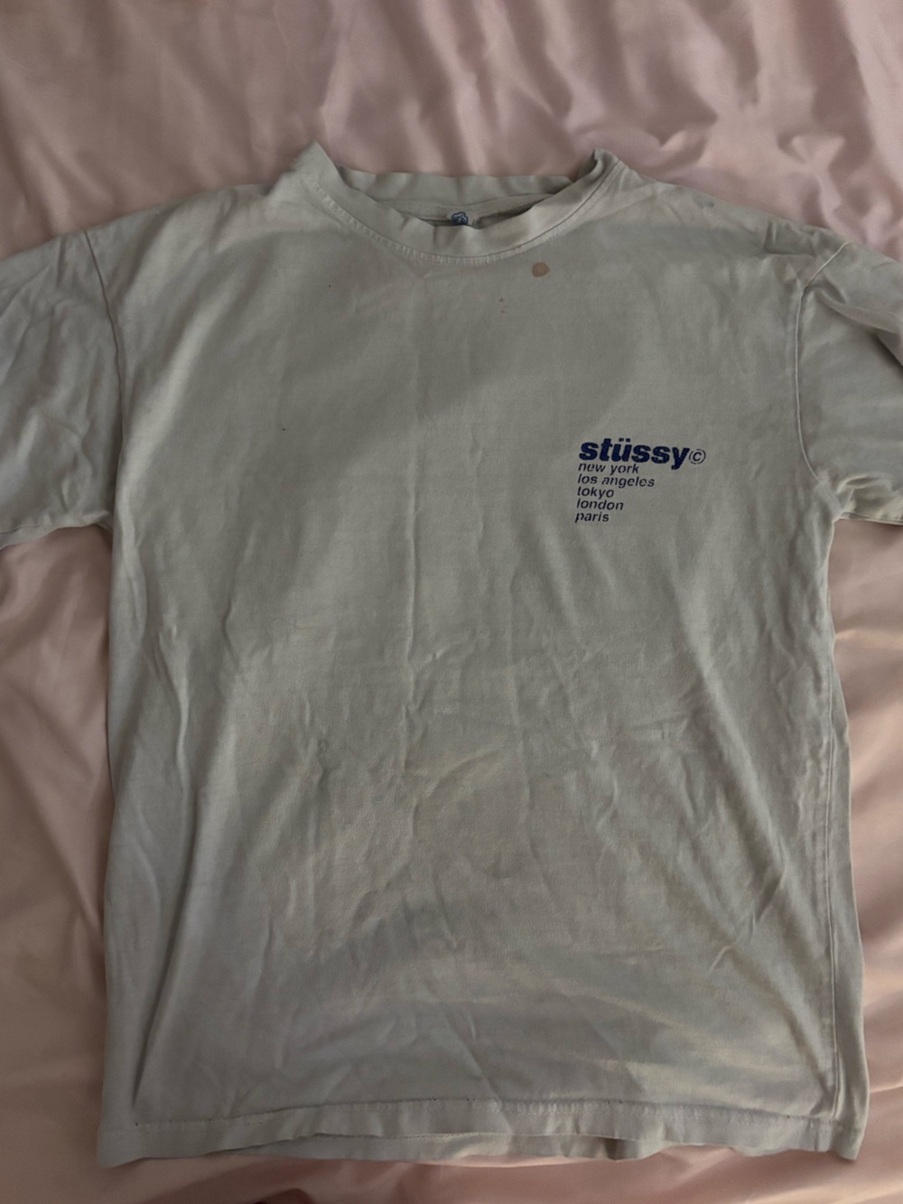Stussy white T-Shirt with Blue Logo and strawberry